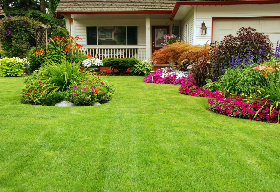 tuf-yard2