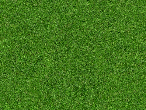Synthetic Turf Bakersfield
